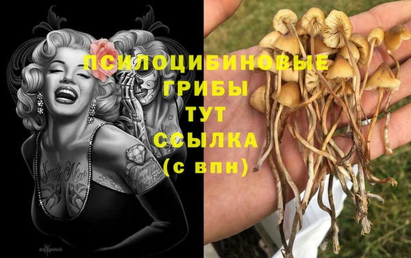 трава Арсеньев