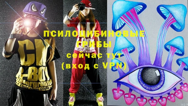 стафф Алексеевка