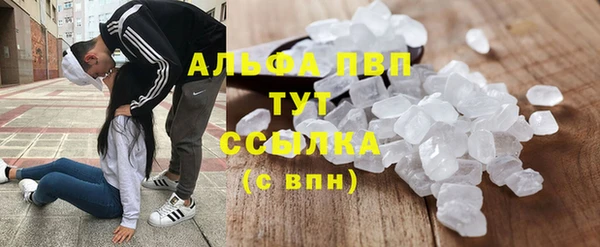 трава Арсеньев