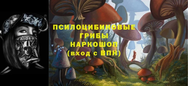 трава Арсеньев
