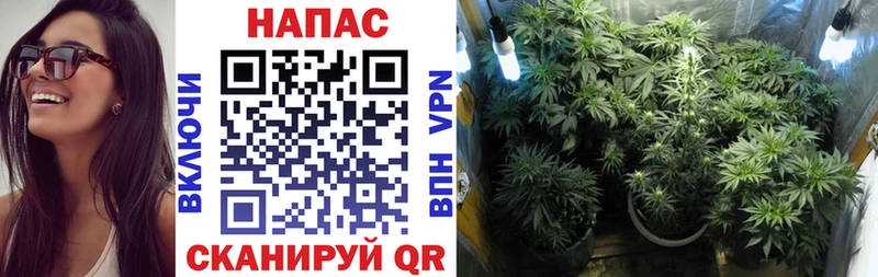 Бошки Шишки SATIVA & INDICA Николаевск-на-Амуре